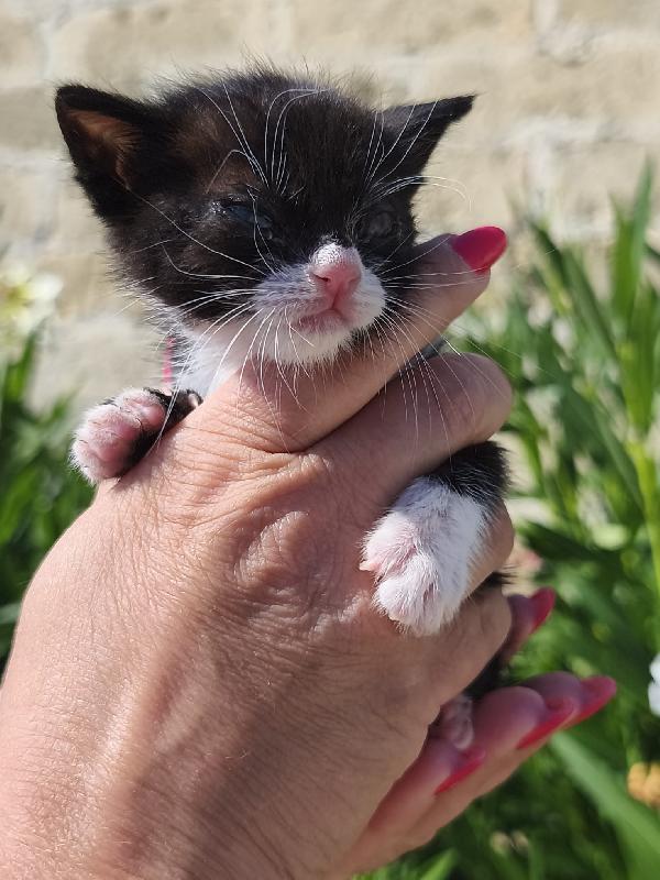 May, la piccolissima Foto 7